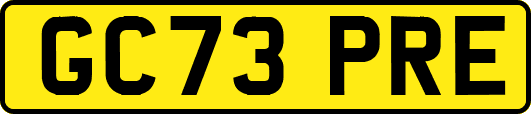 GC73PRE
