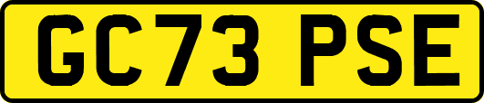 GC73PSE