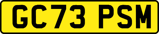 GC73PSM