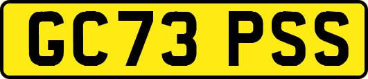 GC73PSS