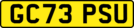 GC73PSU