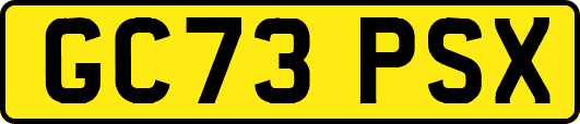GC73PSX