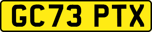 GC73PTX