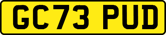 GC73PUD