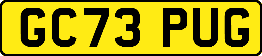 GC73PUG