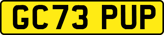 GC73PUP