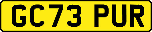 GC73PUR