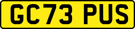 GC73PUS