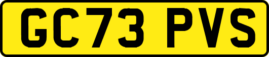 GC73PVS