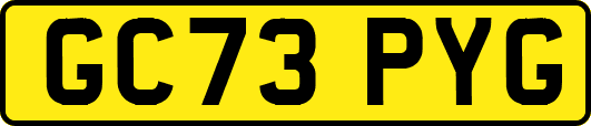 GC73PYG