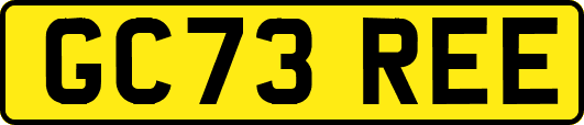 GC73REE