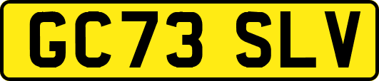 GC73SLV