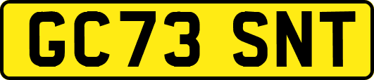 GC73SNT