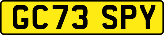 GC73SPY
