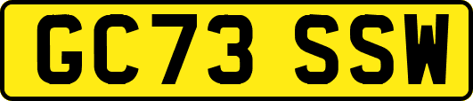 GC73SSW