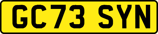 GC73SYN