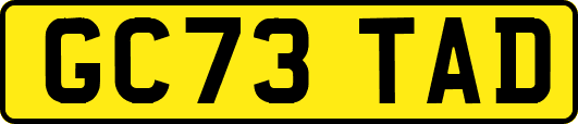 GC73TAD