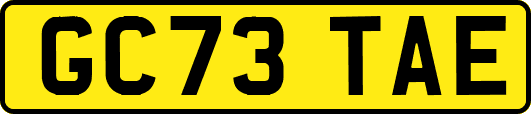 GC73TAE