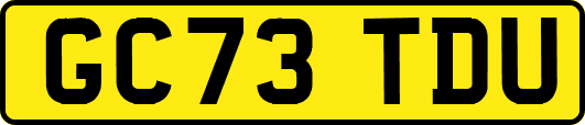 GC73TDU