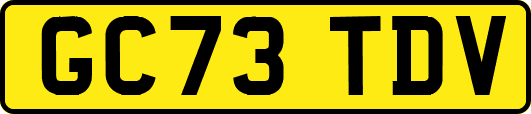 GC73TDV