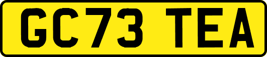 GC73TEA