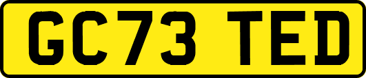GC73TED