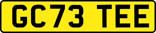 GC73TEE