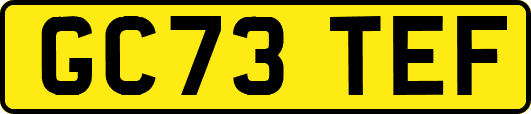 GC73TEF