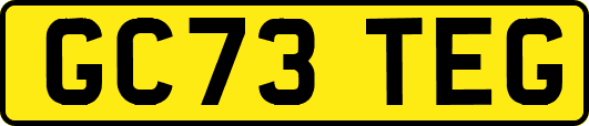 GC73TEG