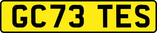 GC73TES