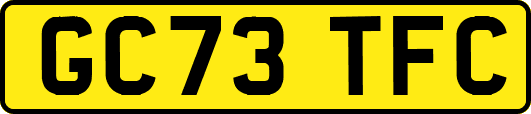 GC73TFC