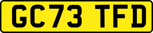 GC73TFD