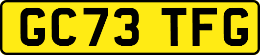 GC73TFG