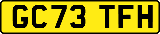 GC73TFH