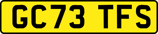 GC73TFS