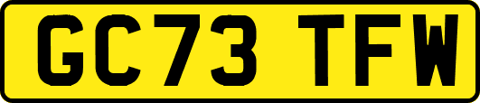 GC73TFW