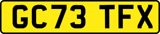GC73TFX