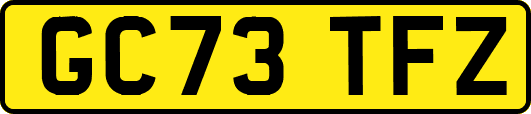GC73TFZ