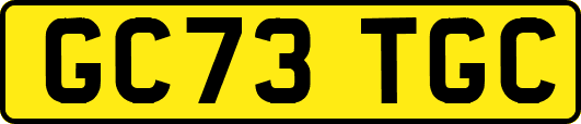 GC73TGC