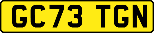 GC73TGN