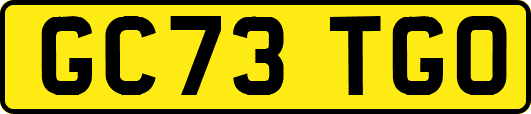 GC73TGO