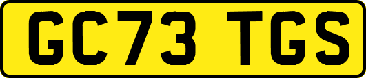 GC73TGS