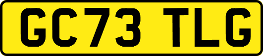 GC73TLG