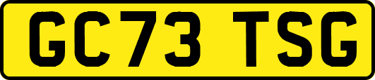 GC73TSG