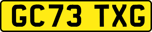 GC73TXG