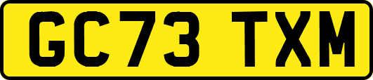 GC73TXM