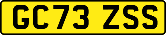 GC73ZSS