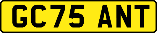 GC75ANT