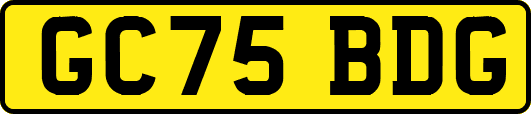 GC75BDG
