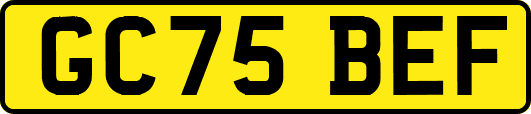 GC75BEF